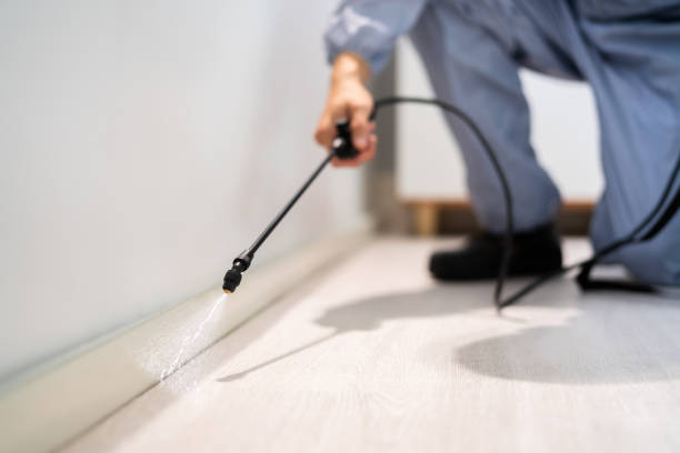 Certified termite inspector examining foundation in Hartford